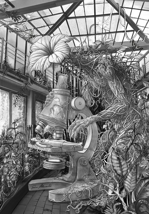 Sahar Attarzadeh  Homo planticus. Microscopique humanité :1er prix