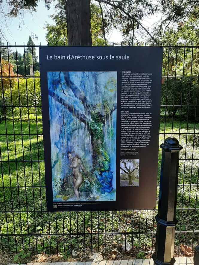 © Jaime Olivares - Le bain d’Aréthuse sous le saule