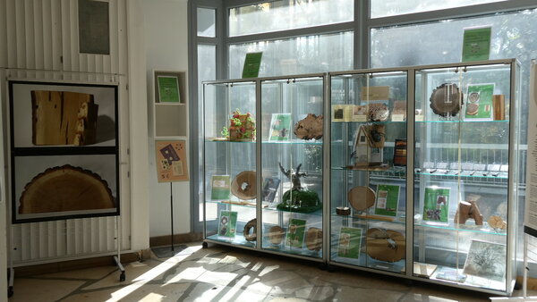 Exposition MMM à la micro-Galerie