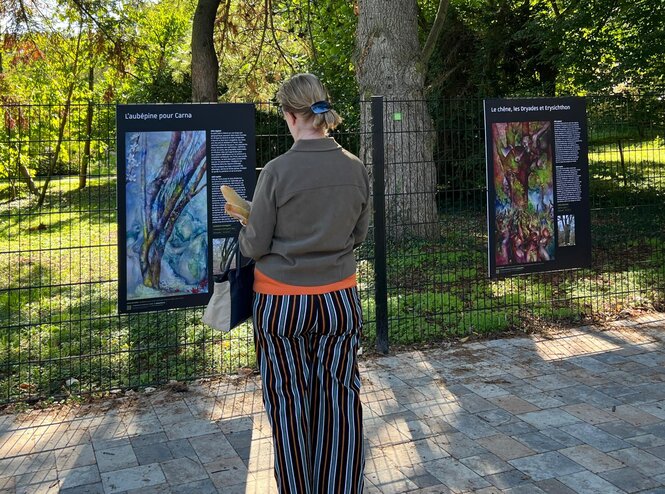 © Jaime Olivares - parcours Arbres et Mythes